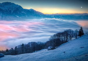 智慧营销信息化平台网址